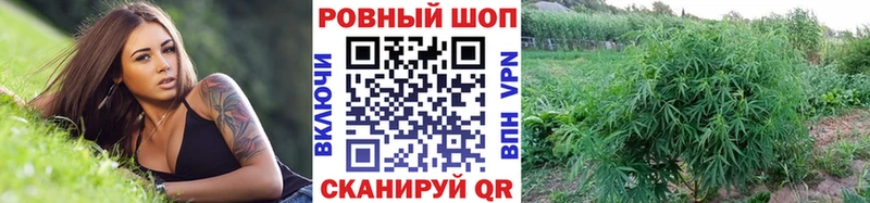Купить наркотики цена Калининград Каннабис  Cocaine  СОЛЬ  Меф мяу мяу 