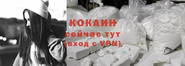 дмт Магас