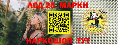 индика Аргун