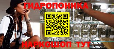 мдпв Гатчина