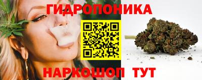 индика Аргун